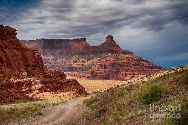 Usa Art Print featuring the photograph In Canyonlands NP by Juergen Klust