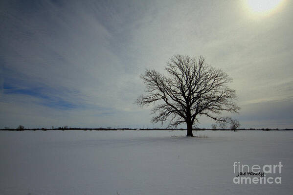 Winter Art Print featuring the photograph In the Middle of Winter by Jale Fancey