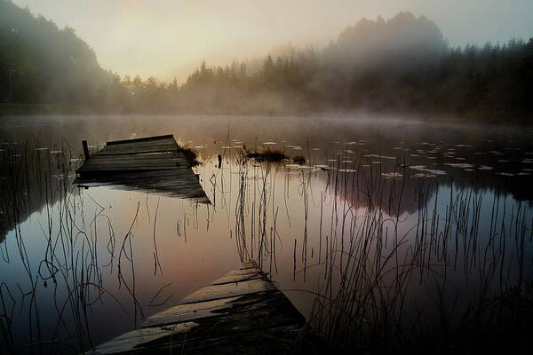 Waterscape Art Print featuring the photograph In The Misty Morning by Willy Marthinussen