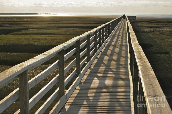 Shadows Art Print featuring the photograph In the shadows by Jim Gillen