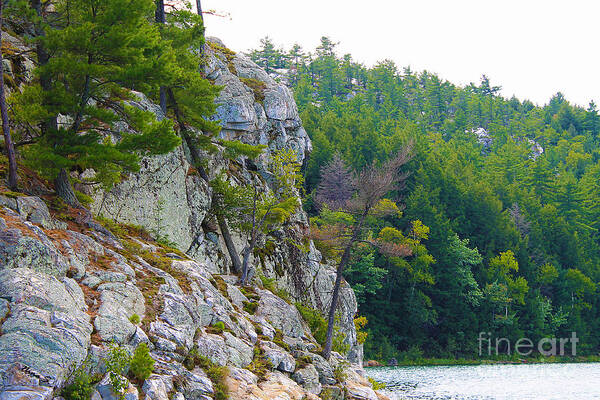 Canada Art Print featuring the photograph Indian Head in Killarney by Nina Silver