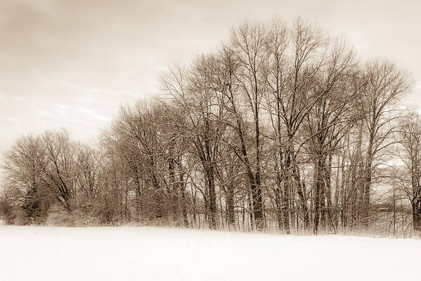 Freedom Park Art Print featuring the photograph Indiana Winter at Freedom Park - Horizontal by Ron Pate