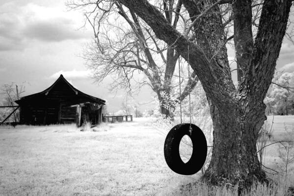 Infrared Art Print featuring the photograph Infrared View of rural Alabama by Carol M Highsmith