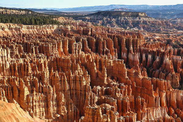 Photography Art Print featuring the photograph Inspiration Point Bryce Canyon by Lee Kirchhevel