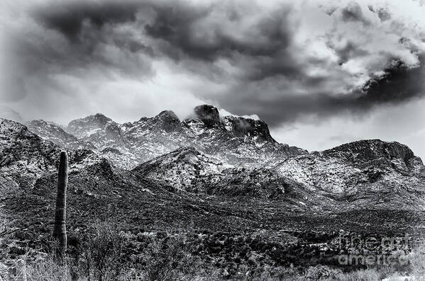 Arizona Art Print featuring the photograph Into Clouds by Mark Myhaver