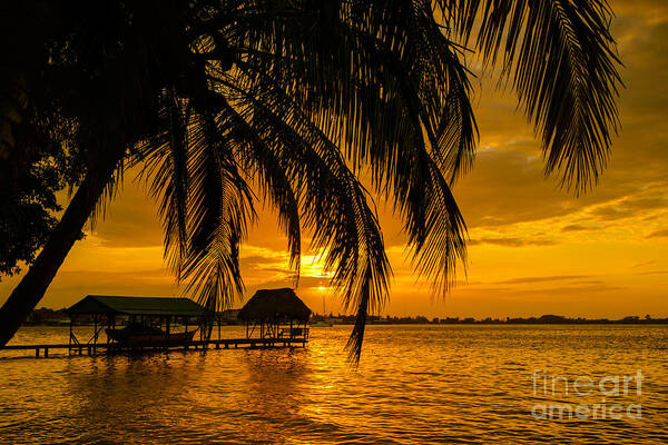 Beauty In Nature Art Print featuring the photograph Isla Colon Sunset by Oscar Gutierrez