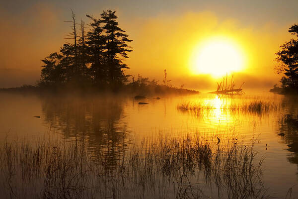 Attraction Art Print featuring the photograph Island And Misty Sunrise On by Irwin Barrett