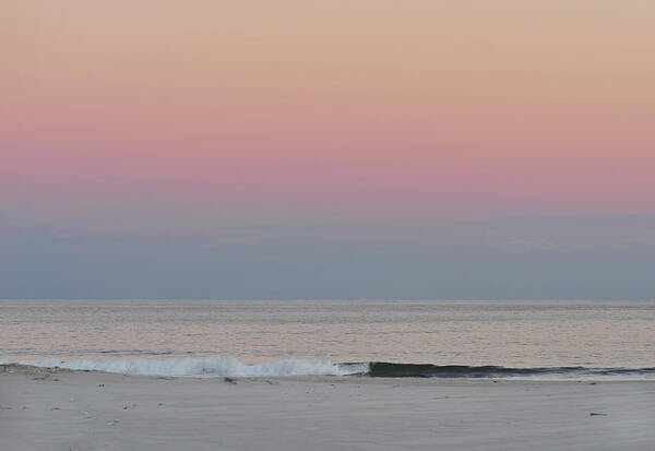 Beach Art Print featuring the photograph Island Beach State Park NJ at Dusk by Terry DeLuco