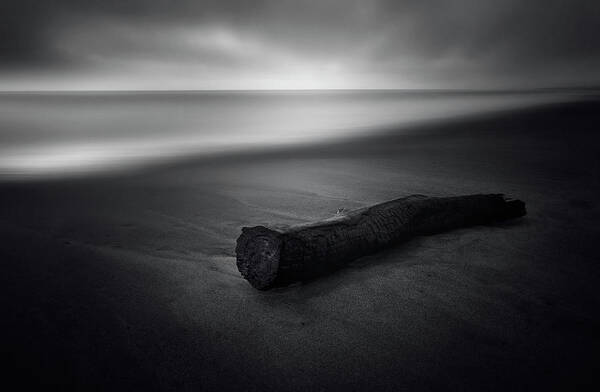 Log Art Print featuring the photograph It Was Calm by Carlo Tonti