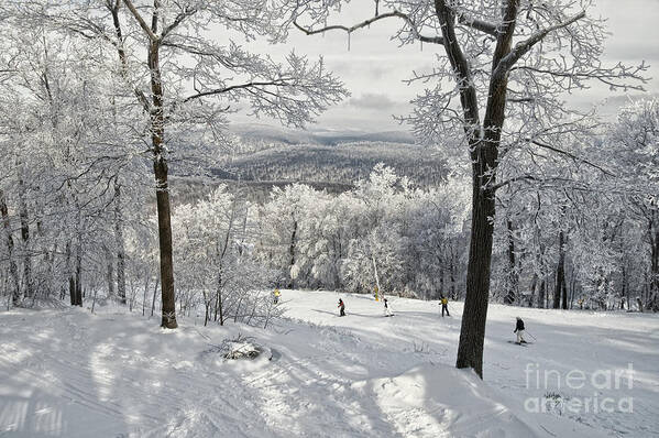 Ski Art Print featuring the photograph Jack Rabbit by Lois Bryan