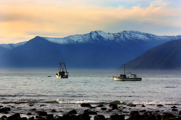 West Coast Art Print featuring the photograph Jackson Bay South Westland New Zealand by Amanda Stadther
