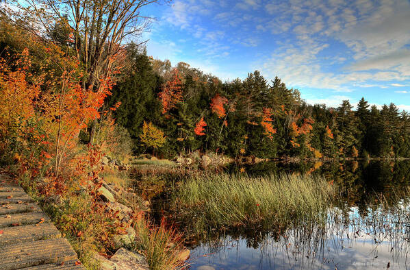 Maine Art Print featuring the photograph Jamies Pond 2 by Andrea Platt