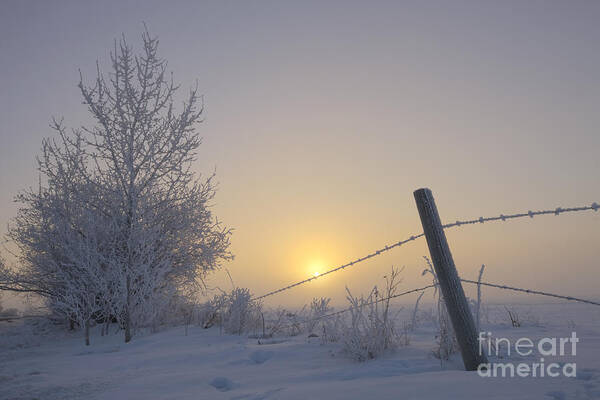 Winter Art Print featuring the photograph January Morning by Dan Jurak
