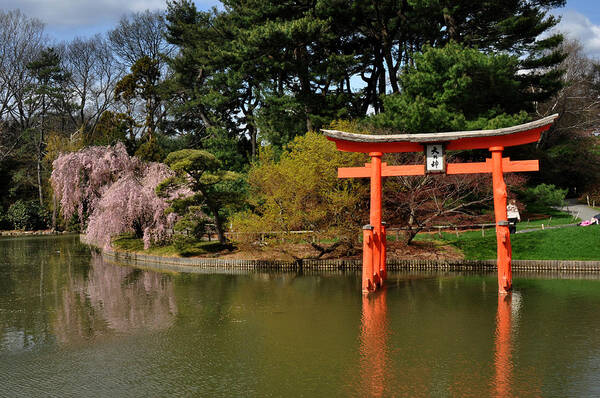 Japanese Garden Art Print featuring the photograph Japanese Garden with orange arch by Diane Lent