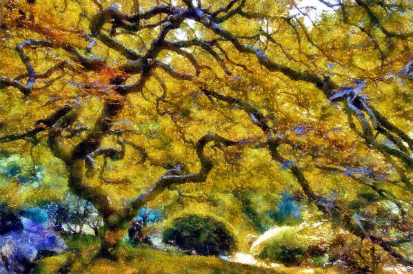 Washington Park Art Print featuring the digital art Japanese Maple in Washington Park by Kaylee Mason