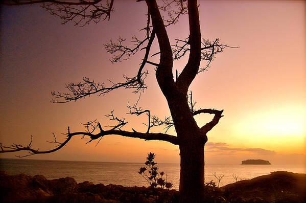 Jeju Scenery Art Print featuring the photograph Jeju Sunset by HweeYen Ong