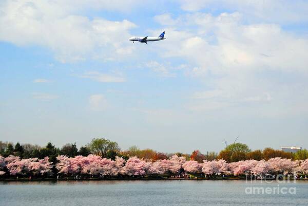 Jet Art Print featuring the photograph Jet Blue Airlines by Jost Houk