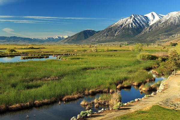 Landscape Art Print featuring the photograph Job's Peak Carson Valley by James Eddy