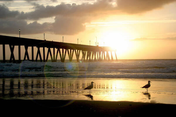 Pier Art Print featuring the photograph Johnnie Mercer's Pier with birds by Phil Mancuso