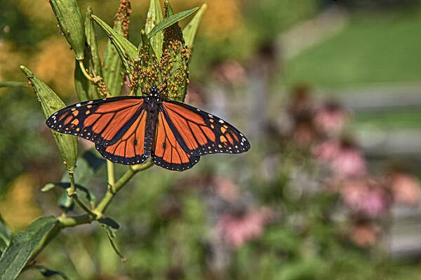 Male Art Print featuring the photograph Journey South by Gary Hall