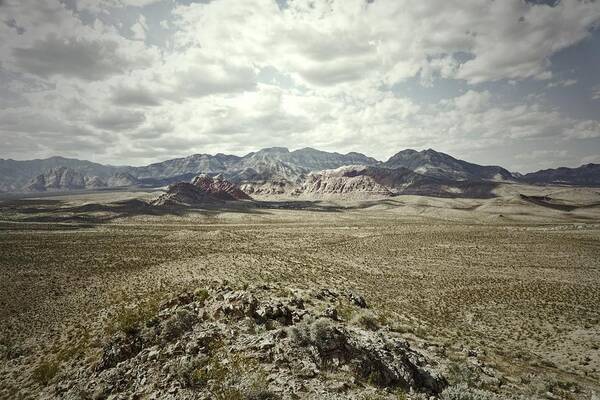 Southwest Art Print featuring the photograph Jump In by Mark Ross