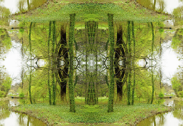 Fairy Tale Art Print featuring the photograph Kaleidoscope Ivy Trees by Silvia Otte