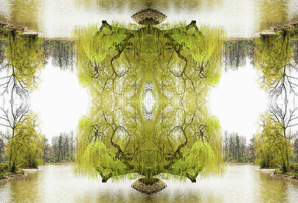 Dreamlike Art Print featuring the photograph Kaleidoscope Tree On Pond by Silvia Otte