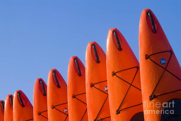 Kayaks Art Print featuring the photograph Kayaks No.2 by John Greco