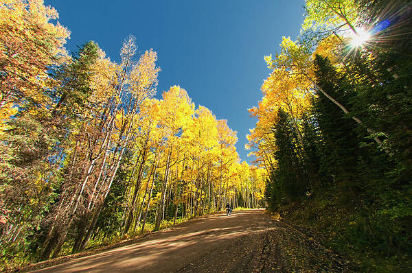 Scenics Art Print featuring the photograph Kebler Pass, Autumn, Colorado by Alan W Cole