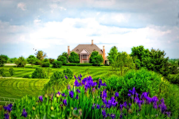 Donamire Horse Farm Art Print featuring the photograph Kentucky Mansion by Mary Timman