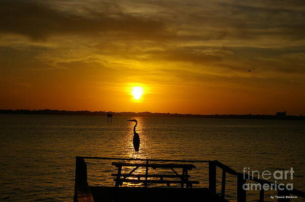 Sunset Art Print featuring the photograph King of the Pier by Tannis Baldwin