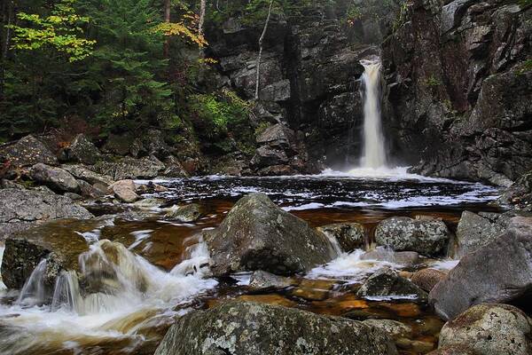 New Hampshire Waterfalls Art Print featuring the photograph Kinsmans Falls by Mike Farslow