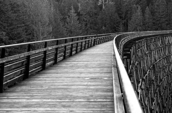 Black And White Art Print featuring the photograph Kinsol Trestle Boardwalk by John Daly