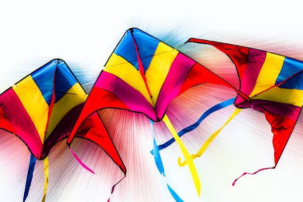 Kites Art Print featuring the photograph Kites by Michael Arend