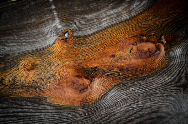 Knotty Plank Monterey Ca Art Print featuring the photograph Knotty Plank by Ron White