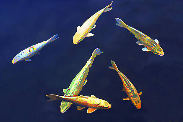   Carp Art Print featuring the photograph Koi Floating in Blue by Wernher Krutein