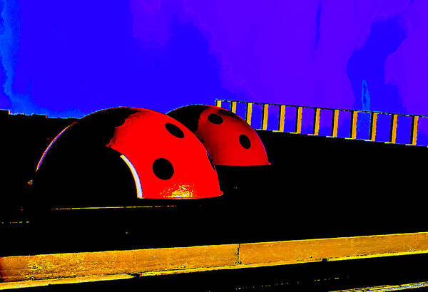 Abstract Art Print featuring the photograph Lady Bug Club by Michael Nowotny