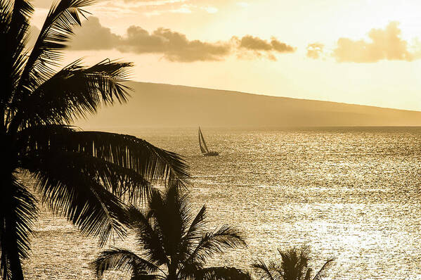 Al Andersen Art Print featuring the photograph Lahaina Sunset 1 by Al Andersen