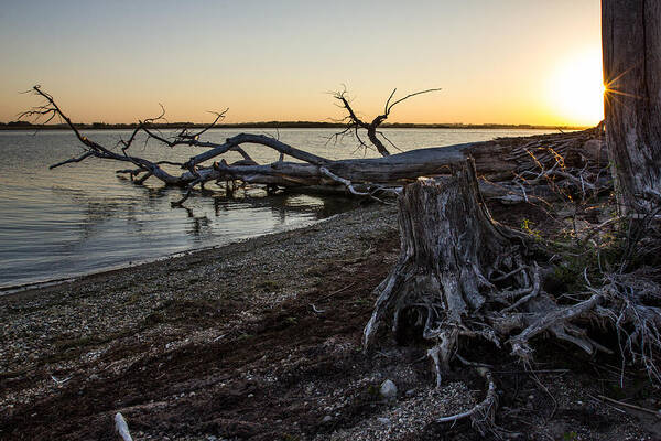 Sunset Art Print featuring the photograph Lake Alice Sunset by Aaron J Groen