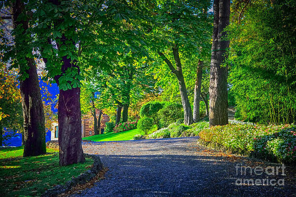 Sunlight Filtering Through Trees Art Print featuring the photograph Lake Como Path by Kate McKenna
