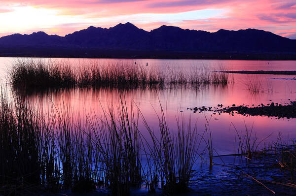 Arizona Art Print featuring the photograph Lake Havasu Sunset by Eric Foltz