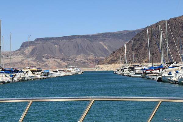 Lake Mead Art Print featuring the photograph Lake Mead From The Marina by Amy Gallagher