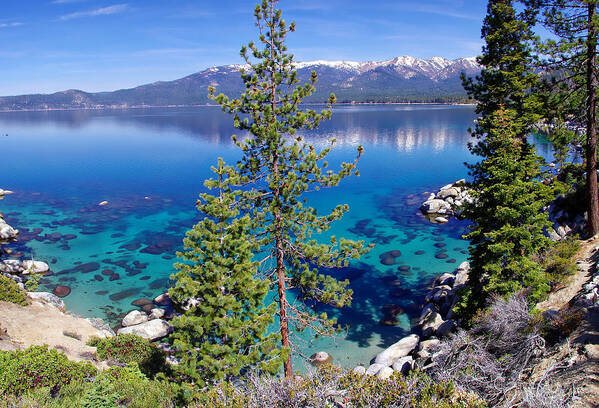California Art Print featuring the photograph Lake Tahoe Beauty by Scott McGuire