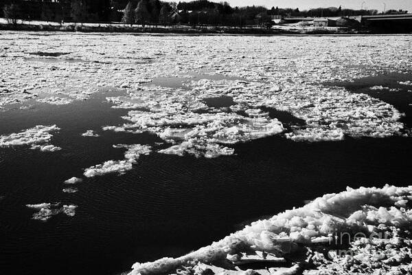 Downtown Art Print featuring the photograph large chunks of floating ice on the south saskatchewan river freezing over in winter Saskatoon Saska by Joe Fox