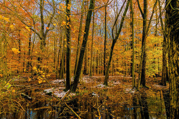 Landscape Art Print featuring the photograph Last of Autumns Color by Louis Dallara