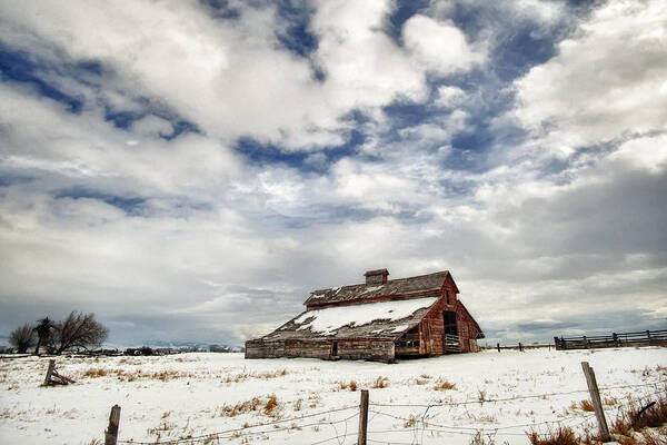 Barn Art Print featuring the photograph Last Snow Barn by Mary Jo Allen