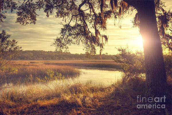 Sunrise Art Print featuring the photograph Lazy Morning by Tim Wemple