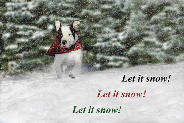 Sold Art Print featuring the photograph Let it Snow by Shelley Neff