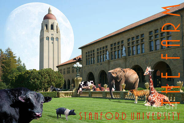 Stanford Art Print featuring the photograph Life Down On The Farm Under The Moon Stanford University California with Text DSC685 by Wingsdomain Art and Photography