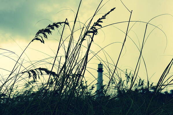 Lighthouse Art Print featuring the photograph Lighthouse in the distance by Laurie Perry